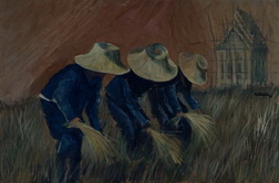 The Rice Harvest