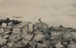 Birds, Rocks And Water