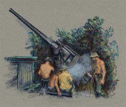 Coast Artillery