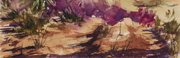 Watercolor Sketch of Vegetation