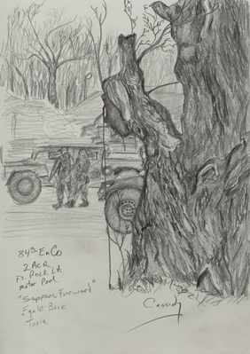 Old Tree In The Motor Pool