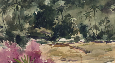 Study of Jungle