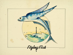 Flying Fish