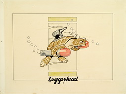 Loggerhead