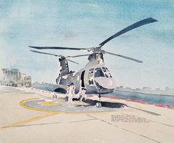 Helicopter Service, International Naval Review