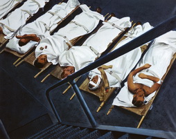 The Wounded Below Decks, Peleliu