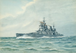 HMS Duke of York