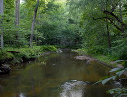 Prince William Forest