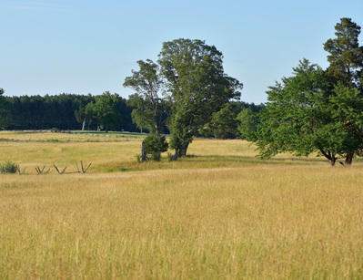 Henry Hill, Manassas National Battlefield Park