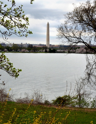 Washington Monument 