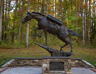 Sergeant Reckless, National Museum of the Marine Corps